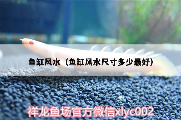 魚缸風水（魚缸風水尺寸多少最好）