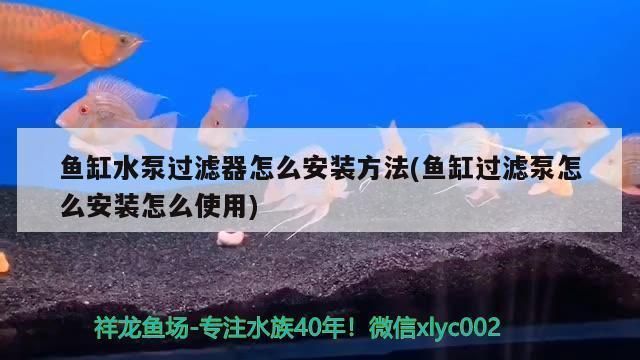 六盤水水族批發市場：六盤水水族批發市場地址