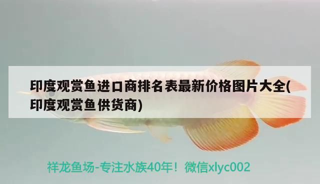 印度觀賞魚進口商排名表最新價格圖片大全(印度觀賞魚供貨商)