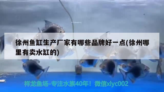 <strong><mark>徐州</mark></strong>魚缸生產廠家有哪些品牌好一點(<strong><mark>徐州</mark></strong>哪里有賣水缸的)