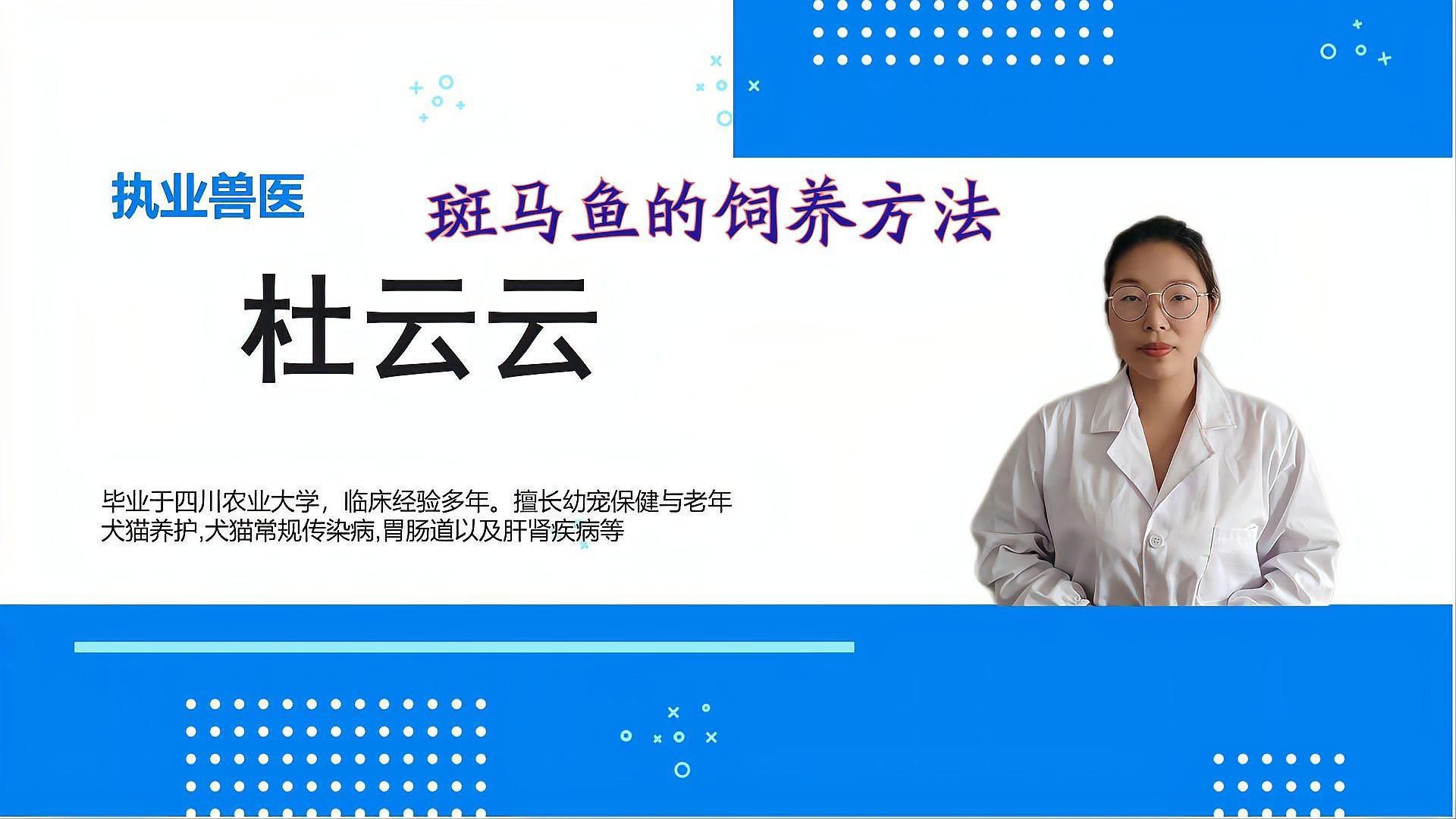 哪些魚適合初學者養殖