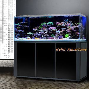 金龍魚吃法圖片視頻教程（金龍魚吃法圖片視頻教程大全）