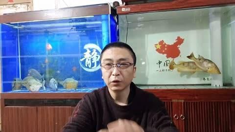 如何判斷金魚是否缺氧？