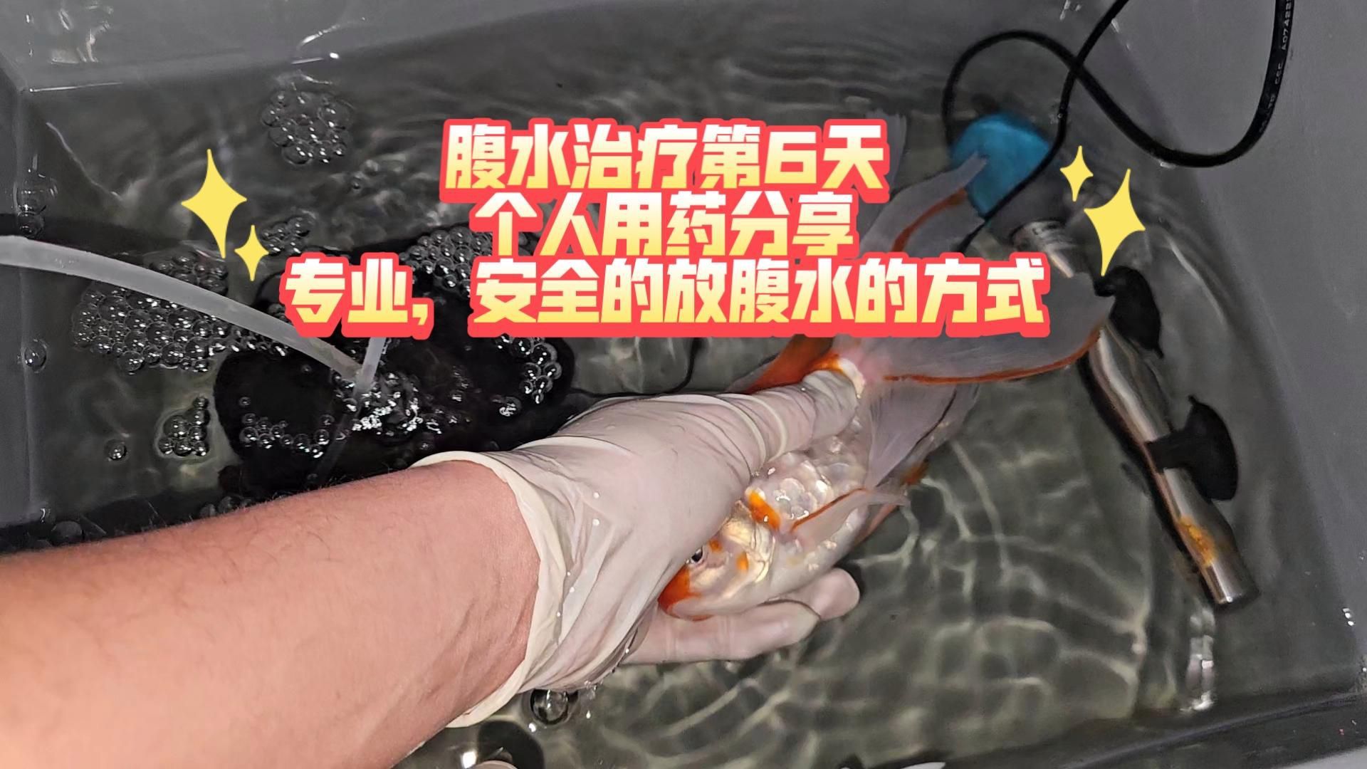 哪種藥物對腹水魚最有效？
