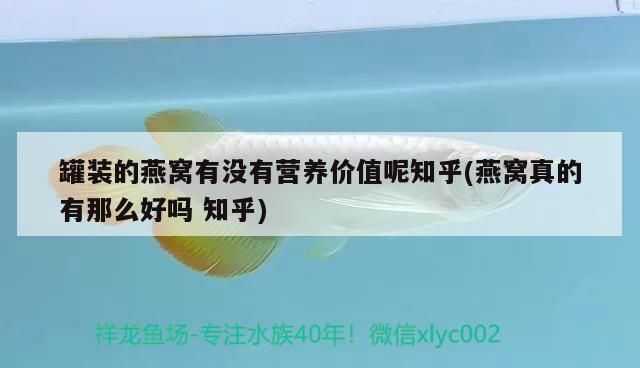 罐裝的燕窩有沒有營養(yǎng)價值呢知乎(燕窩真的有那么好嗎知乎)