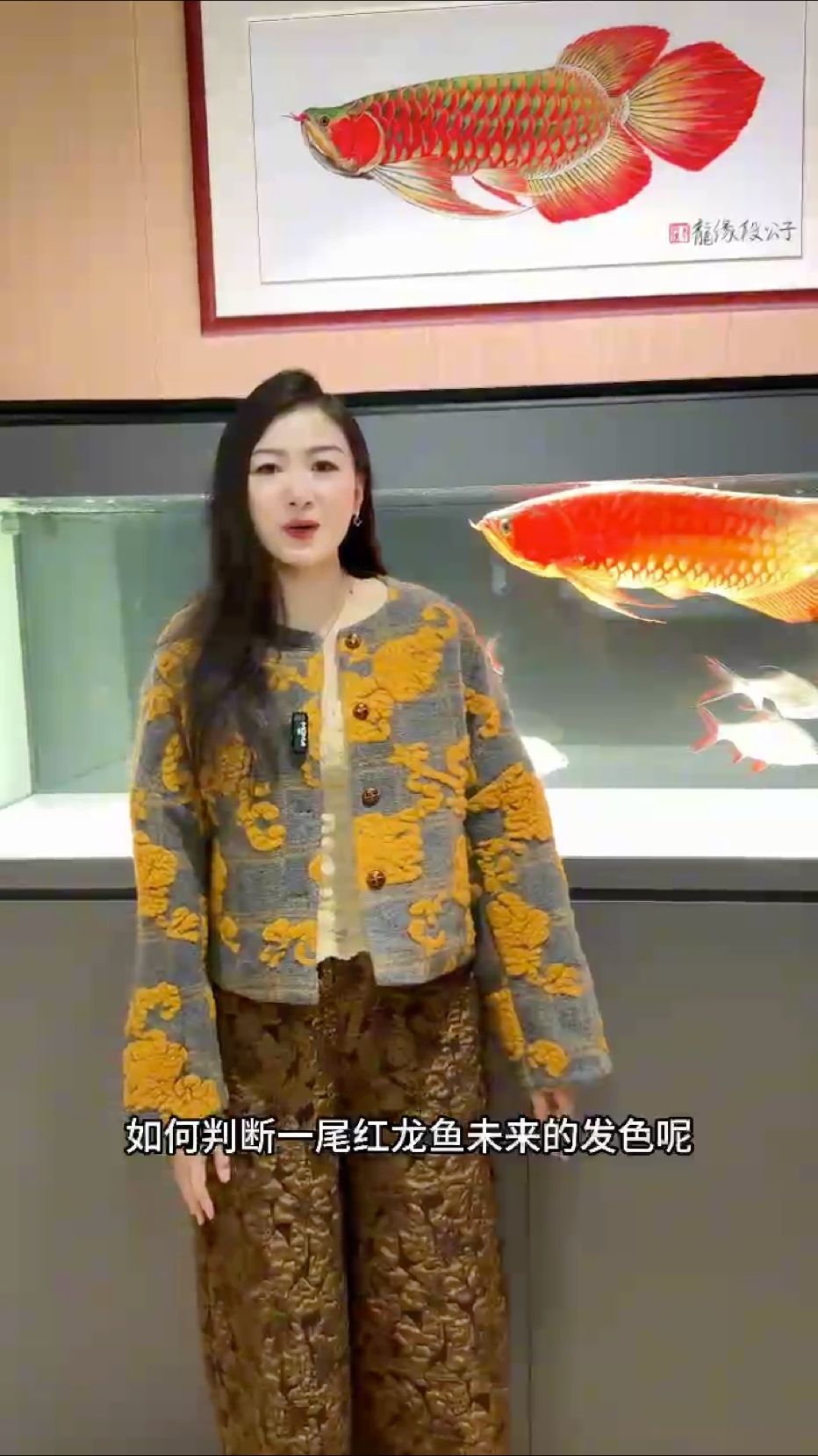 你培養的紅龍魚苗子選對了嗎？#萬隆天王紅龍#龍魚#紅龍#觀賞魚#養魚日記 你培養的紅龍魚苗子選對了嗎？#萬隆天王紅龍#龍魚#紅龍#觀賞魚#養魚日記 龍魚論壇