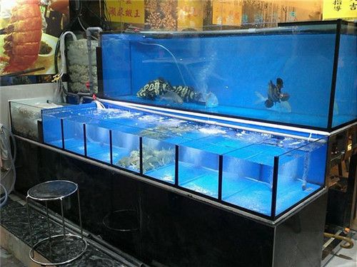 青島買魚缸最大的市場是哪里有（青島買魚缸最大的市場是哪里有賣的）