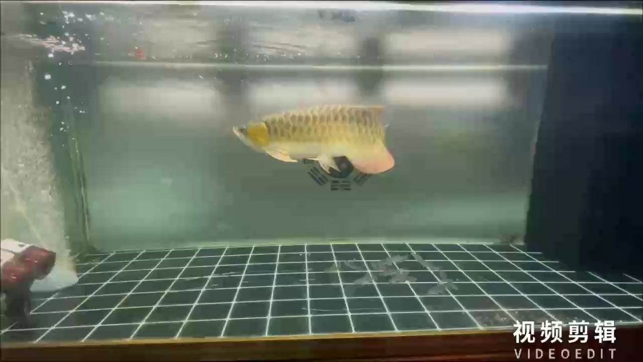 每天打卡