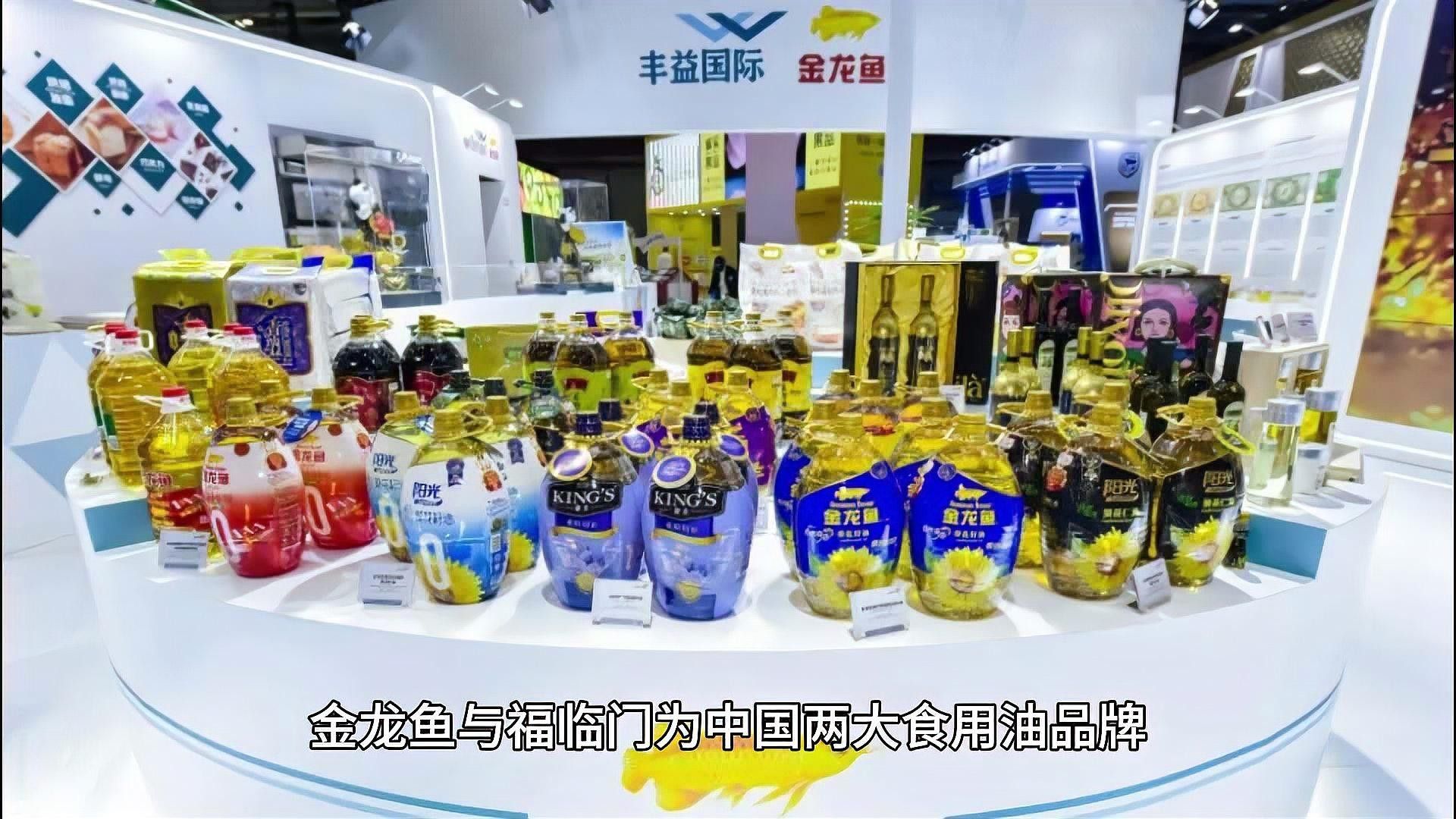 新城金龍魚屬于什么檔次