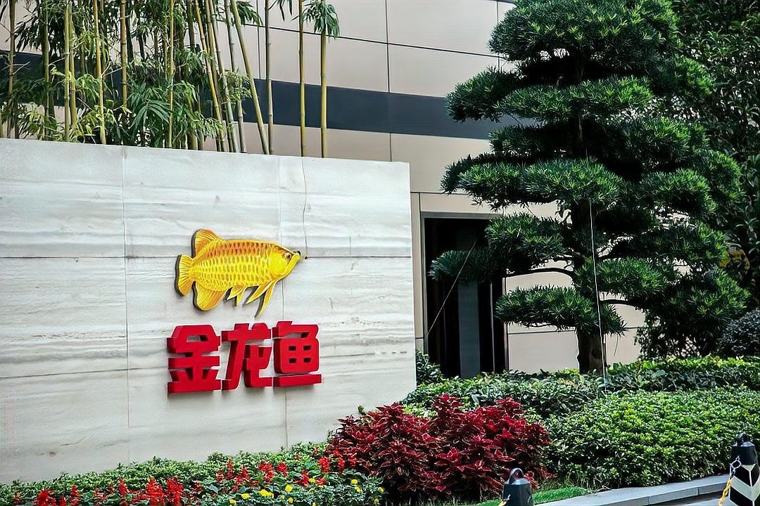 廊坊金龍魚養殖基地的簡介和歷史背景介紹