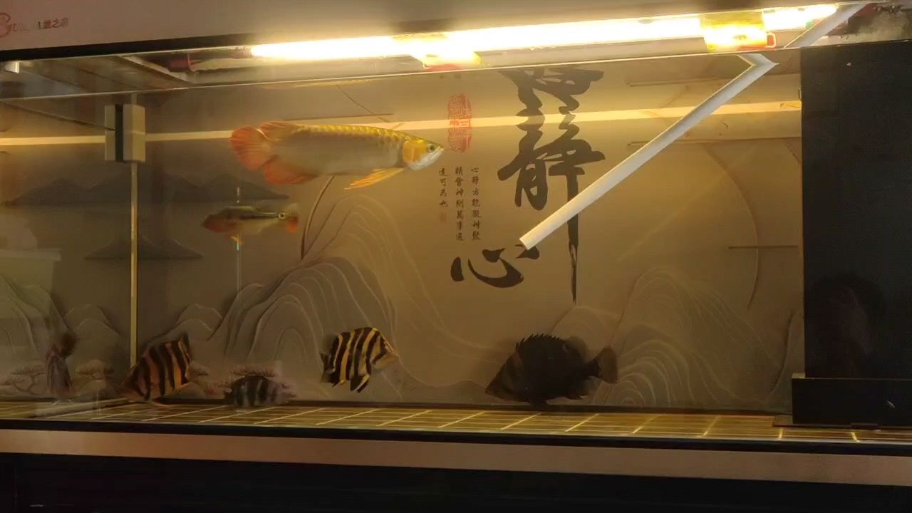 換水，打卡