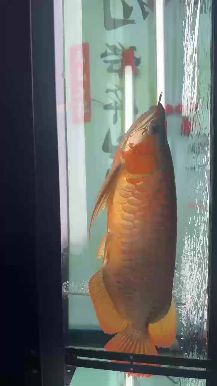 天冷了，側燈搞起