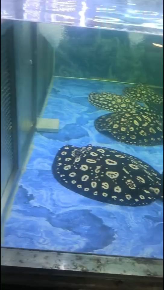 冬季保養