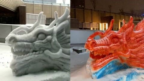 龍魚有多少品種圖片（龍魚有多少品種圖片大全）