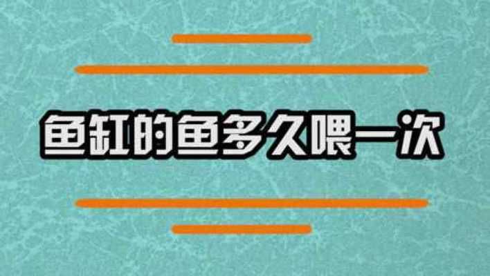 家庭魚(yú)缸養(yǎng)殖魚(yú)缸的禁忌：魚(yú)缸上忌放雜物，養(yǎng)得好還有反作用（家庭養(yǎng)殖魚(yú)缸的禁忌）