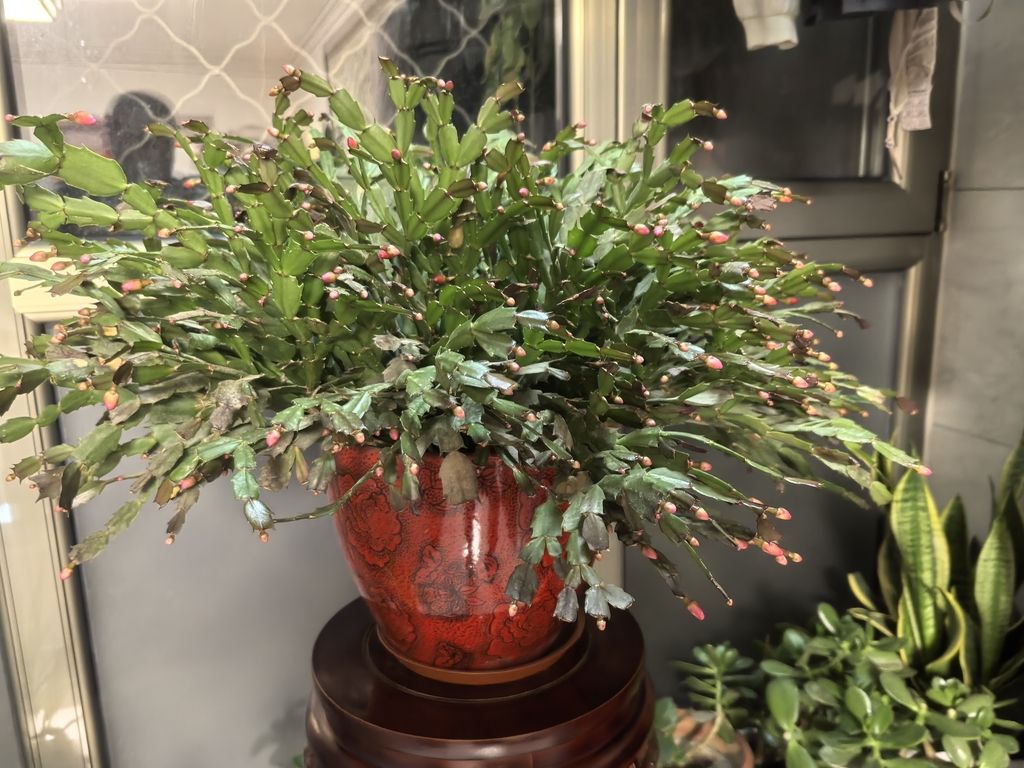 小伙不帥_人見人愛評論：堅持愛好對個人如此重要（堅持愛好對個人的影響）