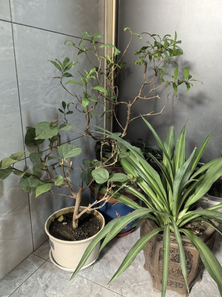 小伙不帥_人見人愛評論：堅持愛好對個人如此重要（堅持愛好對個人的影響）