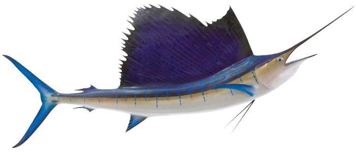 紅旗尾魚的繁殖方法是什么？（紅旗尾魚的養殖方法）