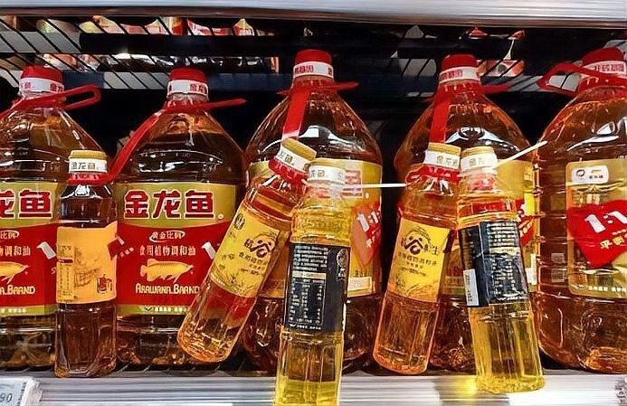 金龍魚是什么？（赤水金龍魚是什么品牌）