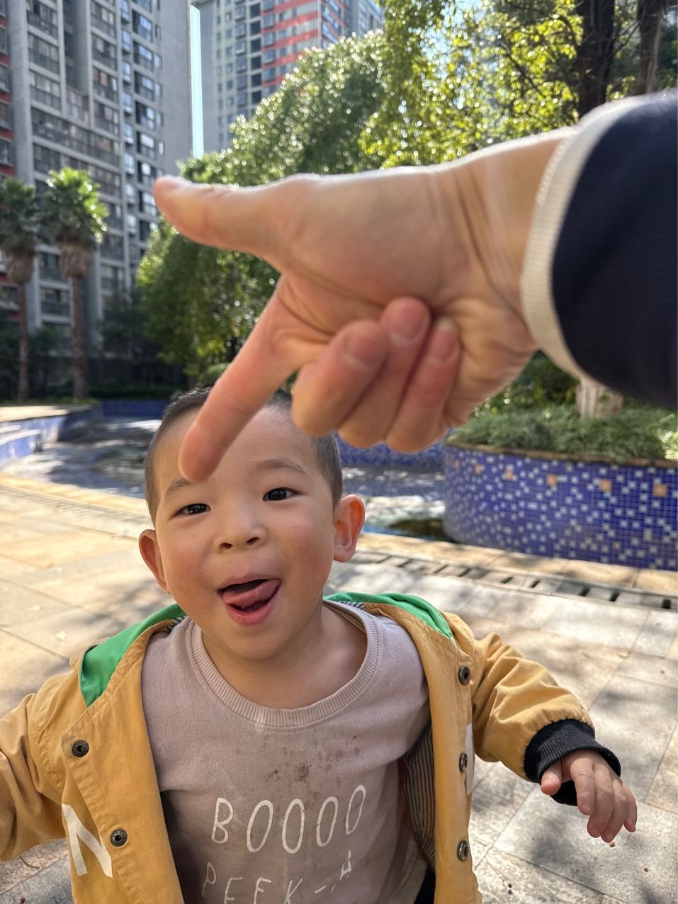 周末的探索與發(fā)現(xiàn)，隨著周末的到來（周末的探索與發(fā)現(xiàn)）