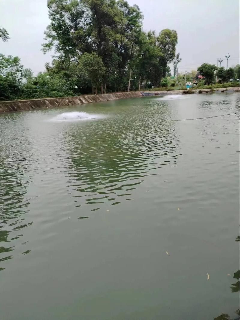 <strong><mark>成都</mark></strong>龍泉釣魚的最佳季節是什么時候龍泉釣魚的最佳季節是什么時候（<strong><mark>成都</mark></strong>龍泉釣魚地點推薦）