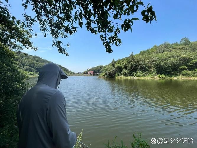 成都龍泉釣魚的最佳季節是什么時候龍泉釣魚的最佳季節是什么時候（成都龍泉釣魚地點推薦）