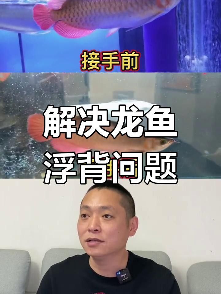 龍魚浮在水面角落不動是怎么回事（龍魚浮在水面角落不動怎么辦）