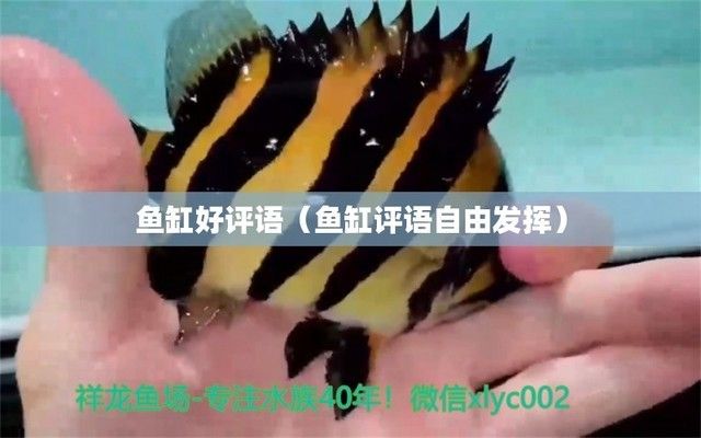 龍魚跳缸的原因和解決方法（關于龍魚跳缸的視頻教程）