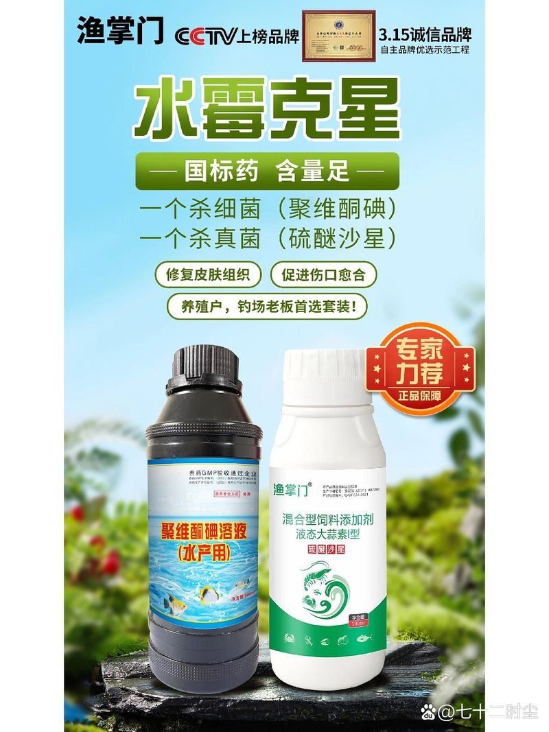 魚得水霉病怎么辦，預防與治療方法全解析（陳臘梅新手養魚必備亞甲基藍,治療魚水霉病最有效） 魚得水霉病怎么辦，預防與治療方法全解析（陳臘梅新手養魚必備亞甲基藍,治療魚水霉病最有效） 觀賞魚百科 第2張