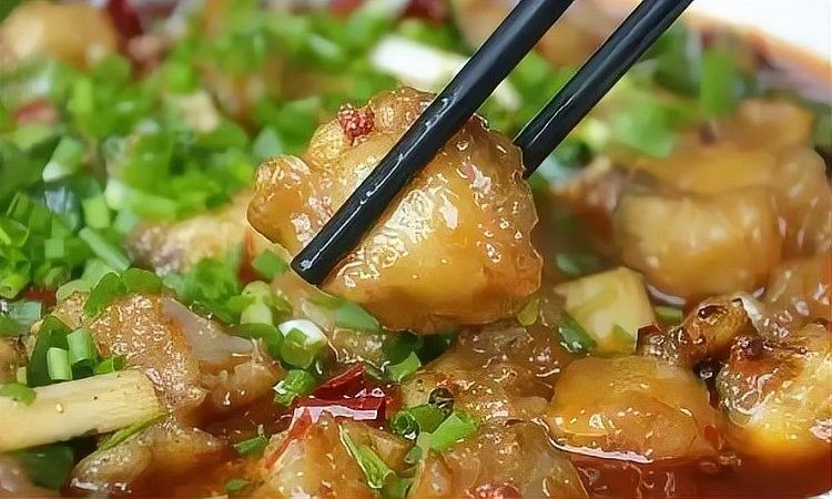 江油哪家魚館性價比最高？香霸魚的具體地址在哪里？（江油公認的“最好吃的魚”，味道麻辣鮮香）
