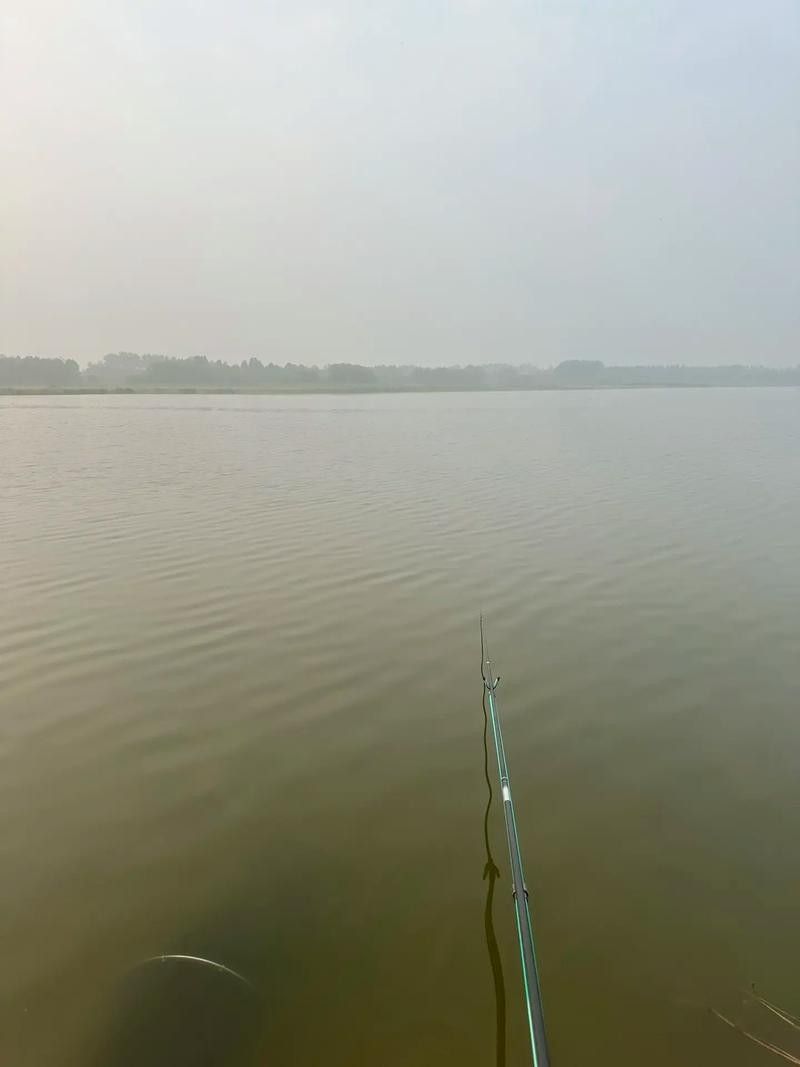 如皋龍游河釣魚實(shí)況分享（<strong><mark>南通</mark></strong>如皋網(wǎng)紅釣點(diǎn)大明龍游河釣點(diǎn)大明龍游河釣魚技巧分享）