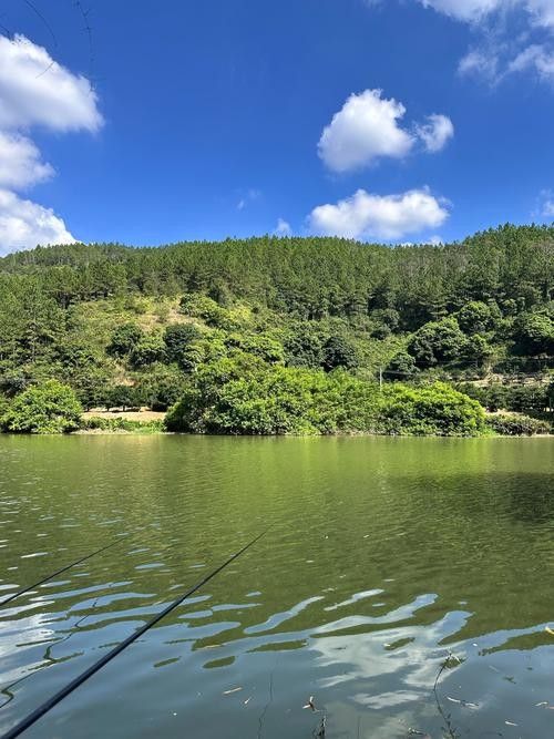 如皋龍游河釣魚實況分享(南通如皋網(wǎng)紅釣點大明龍游河釣點大明龍游河釣魚技巧分享) 觀賞魚百科 第2張 如皋龍游河釣魚實況分享(南通如皋網(wǎng)紅釣點大明龍游河釣點大明龍游河釣魚技巧分享) 如皋龍游河釣魚實況分享(南通如皋網(wǎng)紅釣點大明龍游河釣點大明龍游河釣魚技巧分享) 觀賞魚百科 第2張