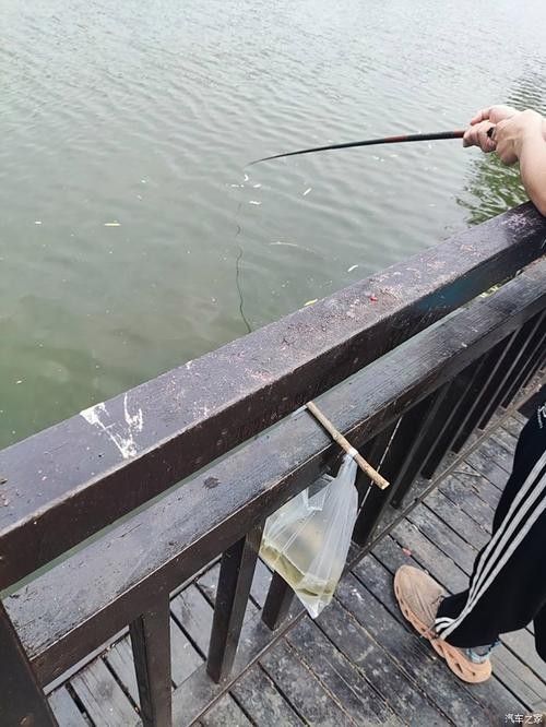 如皋龍游河釣魚實況分享(南通如皋網(wǎng)紅釣點大明龍游河釣點大明龍游河釣魚技巧分享) 觀賞魚百科 第3張 如皋龍游河釣魚實況分享(南通如皋網(wǎng)紅釣點大明龍游河釣點大明龍游河釣魚技巧分享) 如皋龍游河釣魚實況分享(南通如皋網(wǎng)紅釣點大明龍游河釣點大明龍游河釣魚技巧分享) 觀賞魚百科 第3張