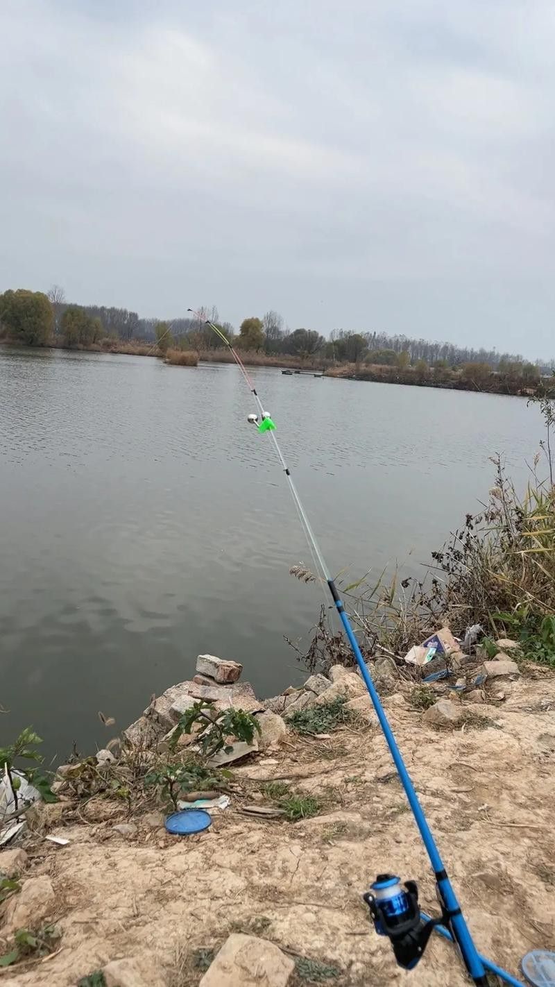 如皋龍游河釣魚實況分享(南通如皋網(wǎng)紅釣點大明龍游河釣點大明龍游河釣魚技巧分享) 觀賞魚百科 第6張 如皋龍游河釣魚實況分享(南通如皋網(wǎng)紅釣點大明龍游河釣點大明龍游河釣魚技巧分享) 如皋龍游河釣魚實況分享(南通如皋網(wǎng)紅釣點大明龍游河釣點大明龍游河釣魚技巧分享) 觀賞魚百科 第6張