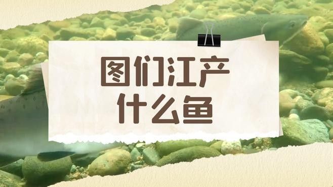 圖們江魚類之“三十二雜魚”（圖們江中常見的十大魚類）