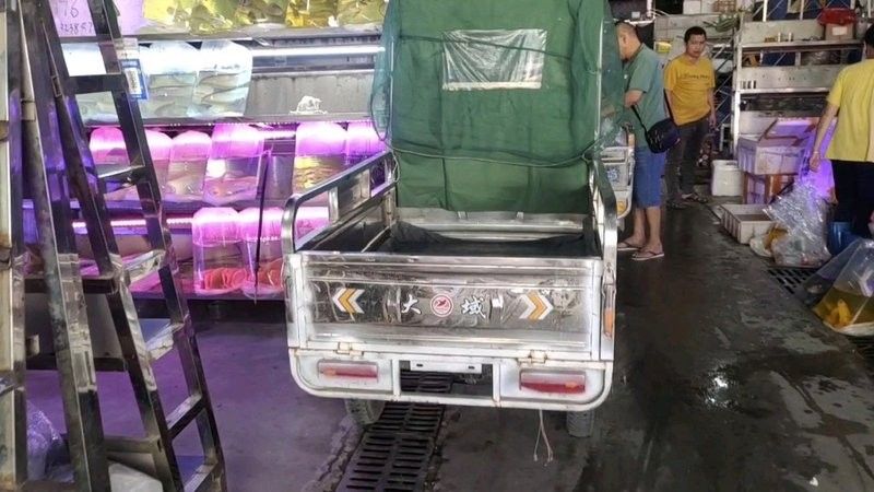 銀龍魚多少錢一條？（觀賞魚銀龍魚價(jià)格及養(yǎng)殖指南）