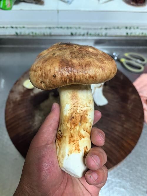 尋甸土特產有哪些？（云南尋甸土特產）