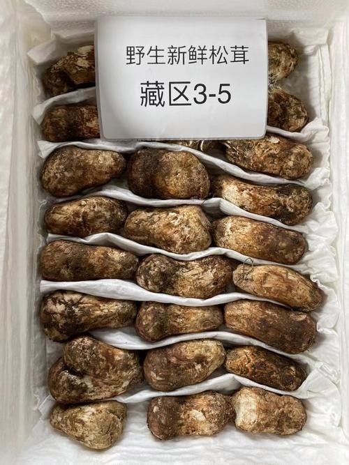尋甸土特產有哪些？（云南尋甸土特產）