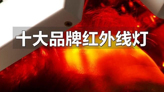 紅外線理療燈十大品牌（紅外線十大品牌）