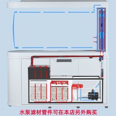 觀賞魚 轉眼間10多月了我得虎苗長大了 觀賞魚百科 轉眼間10多月了我得虎苗長大了 轉眼間10多月了我得虎苗長大了 觀賞魚百科