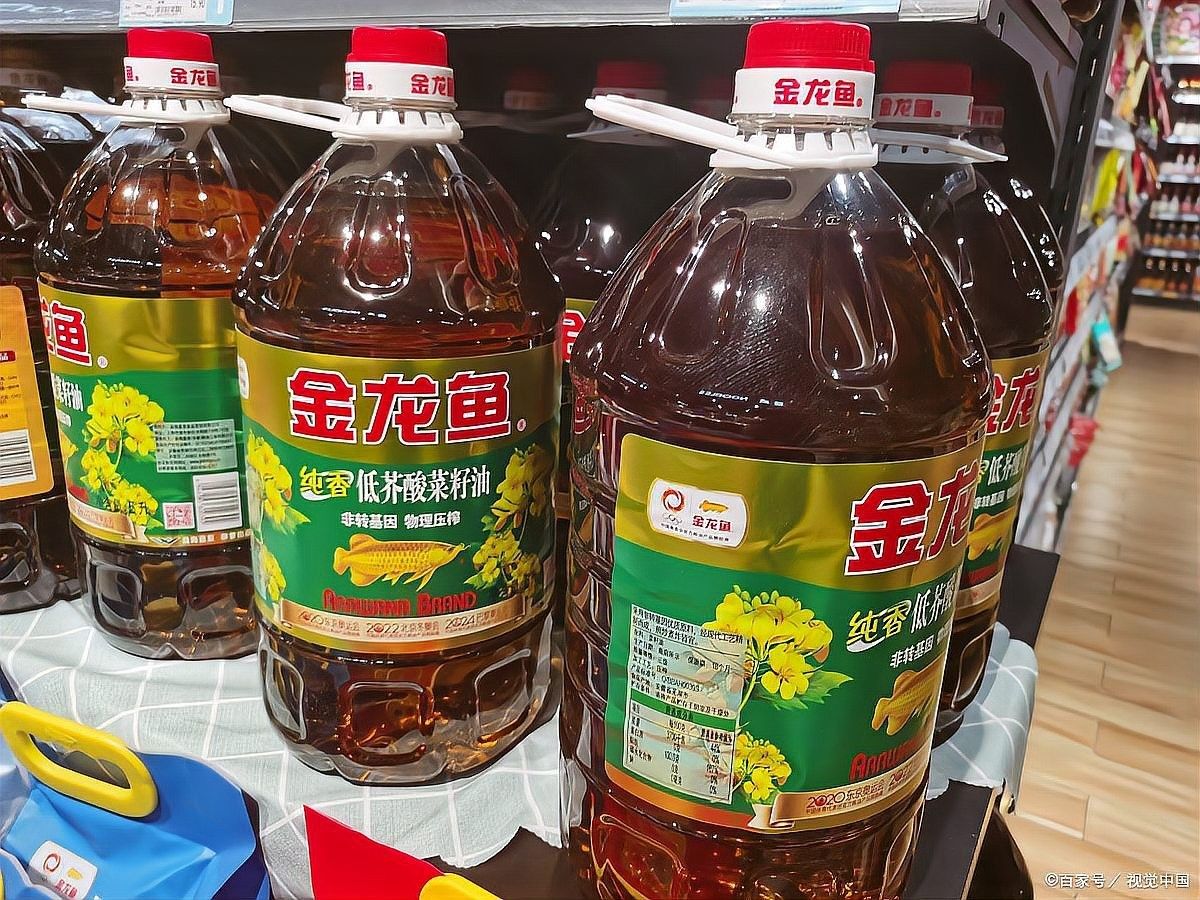 金龍魚香油哪個系列最好金龍魚香油哪個更好（金龍魚哪種油最好？） 金龍魚香油哪個系列最好金龍魚香油哪個更好（金龍魚哪種油最好？） 觀賞魚百科 第14張