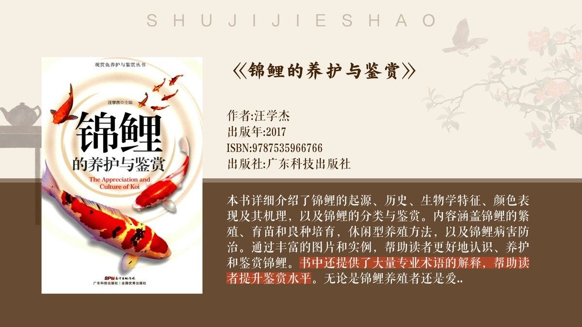 大正錦鯉的來歷是什么