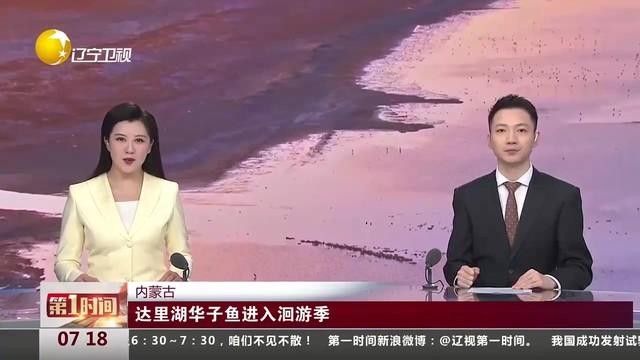 內蒙古魚類資源豐富了當地常見的魚類資源豐富了當地的生物（內蒙古有哪些魚類？）
