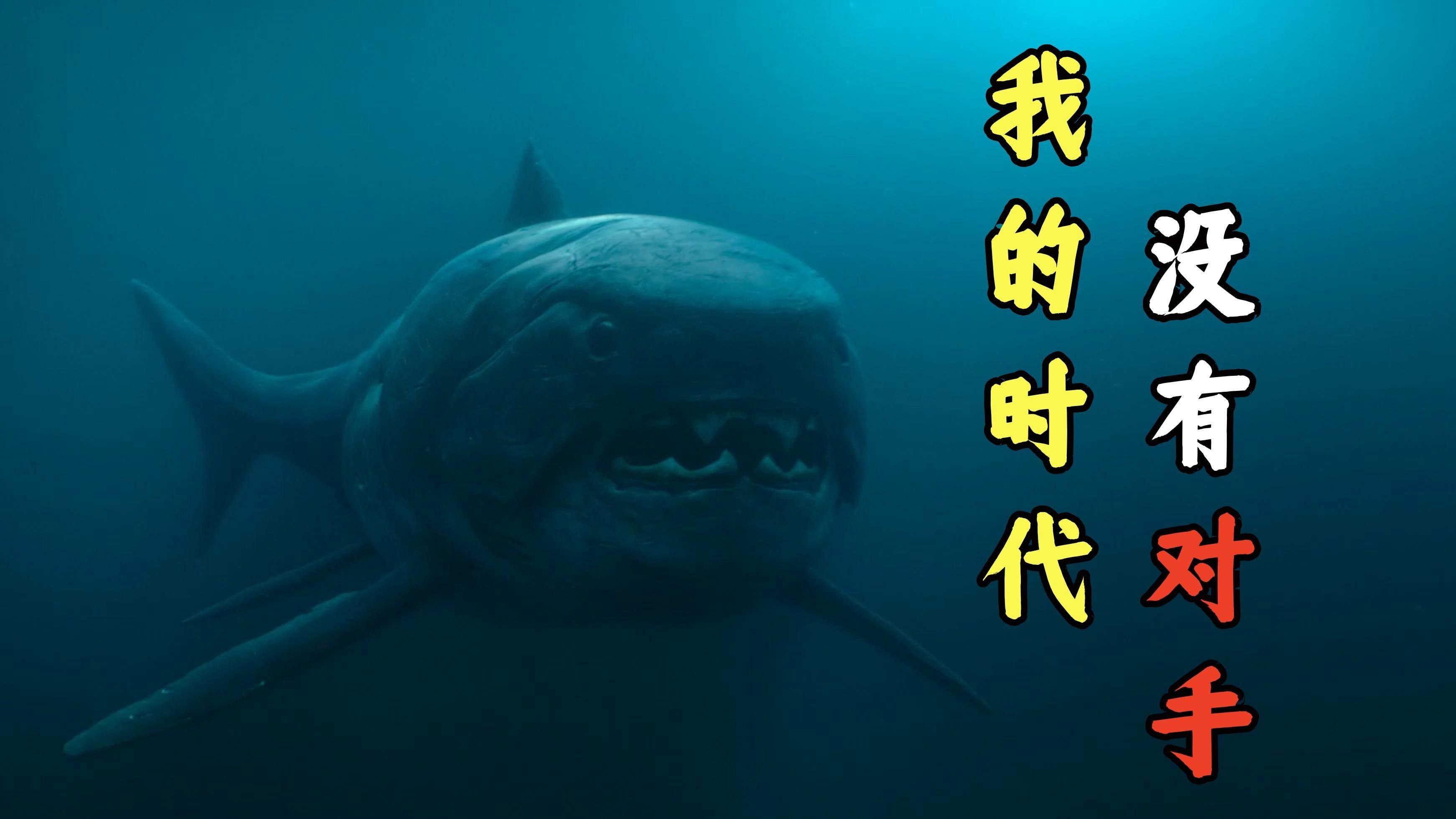 三湖慈鯛魚鰭根部充血多久會好，三湖慈鯛魚鰭根部充血多久會好三湖慈鯛魚鰭根部充血多久會好