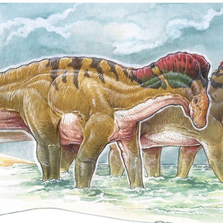 阿馬加龍禽龍鄧氏魚的生態習性、進化歷程及其在生物多樣性中的作用（揭秘史前海洋霸主——鄧氏魚）