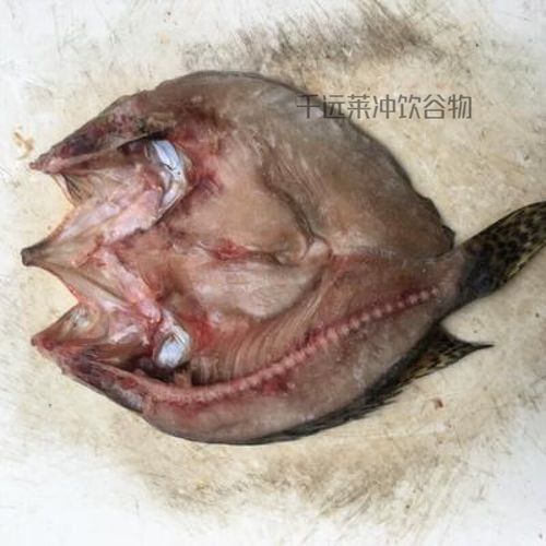 湖南華容金龍魚2023最新價格表，華容金龍魚最新價格表（華容金龍魚2023最新價格表，華容地區(qū)相關(guān)特產(chǎn)在京東平臺的最新價格信息）