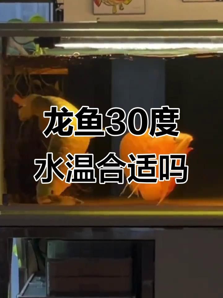綿陽市平武縣冷水魚產(chǎn)業(yè)發(fā)展工作平武縣冷水魚產(chǎn)業(yè)發(fā)展情況（平武縣冷水魚產(chǎn)業(yè)發(fā)展情況如何？）