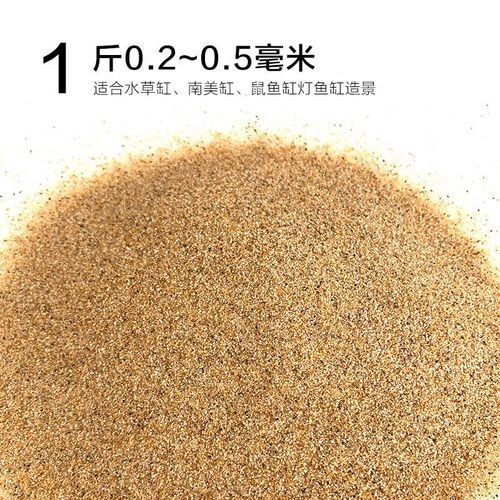 細(xì)河金龍魚，細(xì)河金龍魚的飼養(yǎng)管理技巧（細(xì)河金龍魚怎么選）