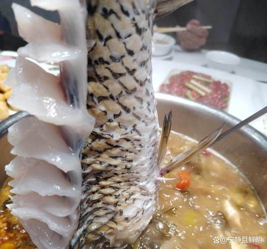 龍魚能吃雞胸肉嗎（龍魚可以吃雞胸肉嗎）