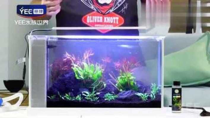 龍魚撞缸鱗片受到驚嚇撞缸鱗片脫落需要拔嗎，龍魚掉鱗需要拔嗎（關于龍魚掉鱗問題）